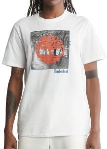 T-SHIRT TIMBERLAND FABRIC GRAPHIC TB0A26T3 