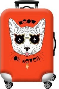    AMBER AM209-01 MEOW OR NEVER