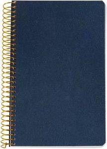  LOGINOTES SPIRAL LINE METALLIZE 13  20 CM   (120)