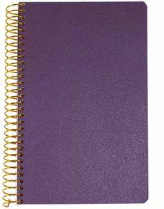  LOGINOTES SPIRAL LINE METALLIZE 13  20 CM  (120)