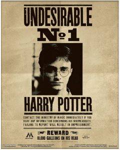 POSTER HARRY POTTER  SIRIUS BLACK WANTED 61 X 91.5 CM