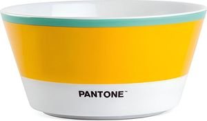  PANTONE  PPA91GV (480ML)