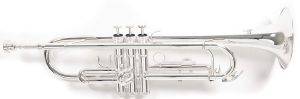  GEWAPURE ROY BENSON B-FLAT TR-202S