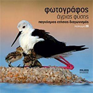 ���������� ������ ����� ������� 20