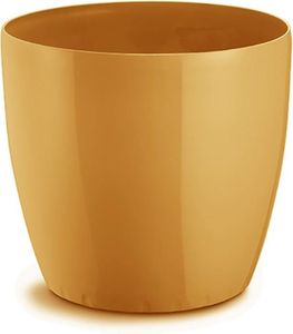 ����� ROTO BRILL GOLD �14