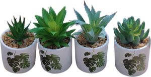 ������ �� ����� �������� ����� 4������ (������ �������) 13,5X16,5CM