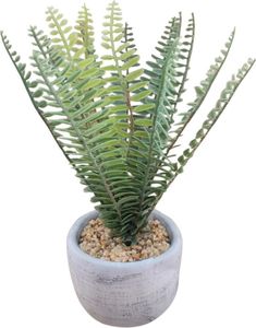 ����� �� ����� (29 CM)
