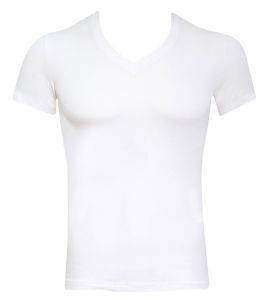 �������� MINERVA �� V �����