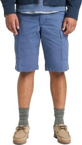 �������� TIMBERLAND BROOKLINE TWILL CARGO TB0A44XT EYO ���� (31)