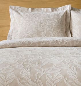   KENTIA CATIMINI BEIGE (2)