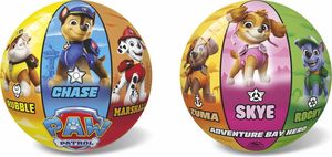 ����� PAW PATROL  23CM
