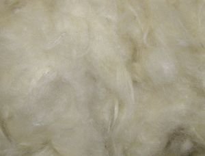   NOBBY KAPOK (50GR)