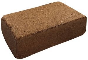   NOBBY COCONUT BEDDING (650GR)