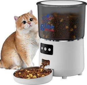 �������� ������� GLEE ELTON ����� (4L)