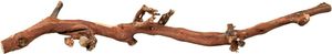  AAA TRIXIE (40-55CM)