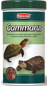 ����� ��� ������� PADOVAN GAMMARUS (100ML)
