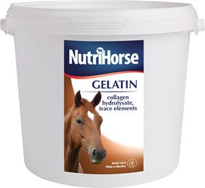 ���������� ��������� NUTRIHORSE GELATIN (1KG)