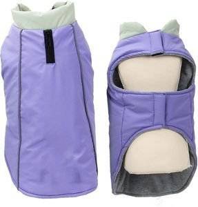 ������ GLEE  CETUS ����