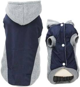 ������ GLEE GEMINI ����-����