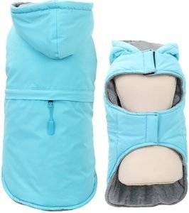 ������ GLEE INDUS �������