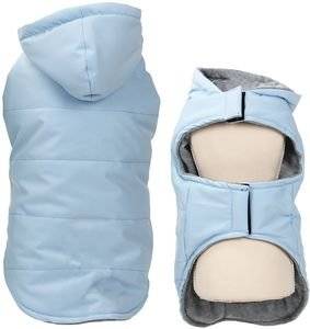 ������ GLEE MONOCEROS �������