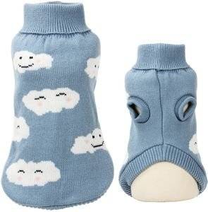 �������� GLEE MARU �������