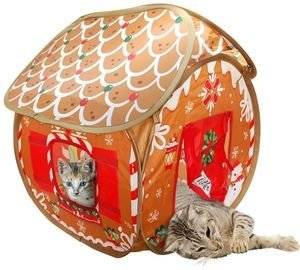   KONG HOLIDAY PLAY SPACES BUNGALOW