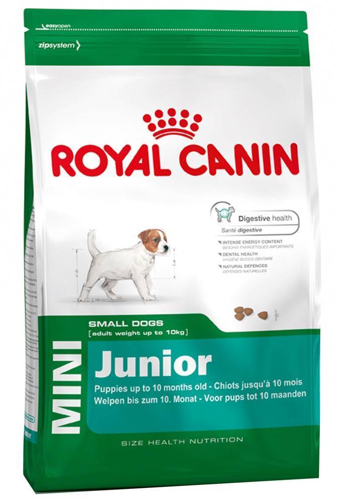 ROYAL CANIN ΤΡΟΦΗ ΣΚΥΛΟΥ ROYAL CANIN MINI JUNIOR 4KG