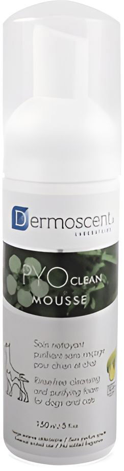 DERMOSCENT ΑΦΡΟΣ ΚΑΘΑΡΙΣΜΟΥ DERMOSCENT PYOCLEAN MOUSSE (150ML)