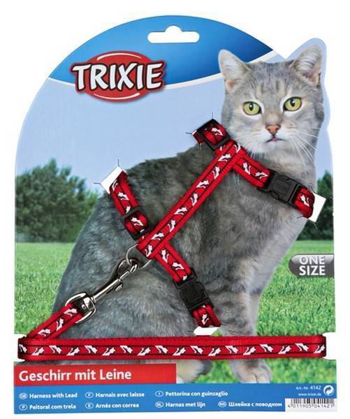 big w cat harness