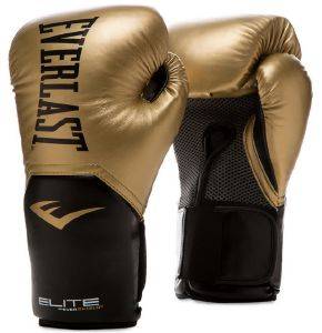  EVERLAST PRO STYLE ELITE GLOVES [P00002350]  (10 OZ)