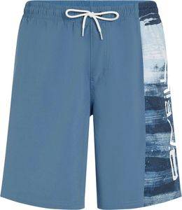 ����� ����� O'NEILL RETRO 19