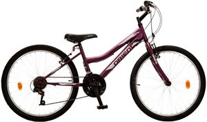 �������� ORIENT COMFORT GIRL 24