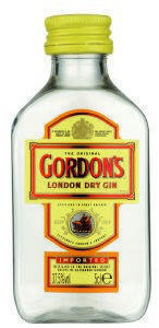 GIN GORDON'S (PET) 50 ML