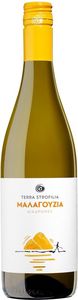  TERRA STROFILIA   2024  750 ML