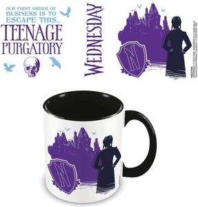 ΚΟΥΠΑ WEDNESDAY - TEENAGE PURGATORY 315ML