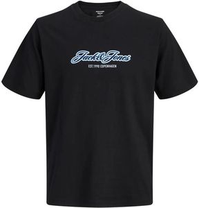 T-SHIRT JACK & JONES JORCATSKILLS 12298348 ����� (140CM)-(10 ����)